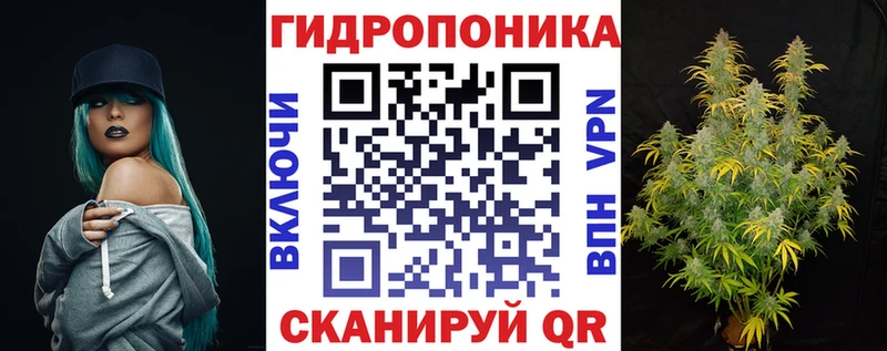 Магазины продажи наркотиков Куртамыш Канабис АМФЕТАМИН Alpha PVP Мефедрон Кокаин