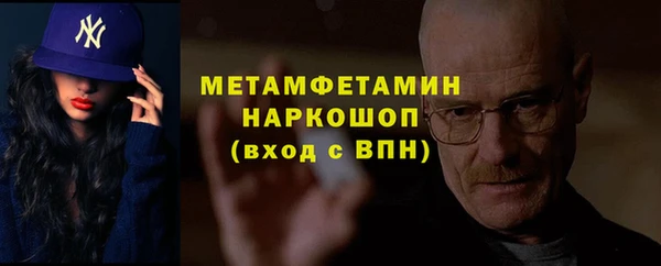 амф Ладушкин