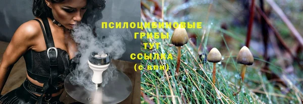 тгк Лиски