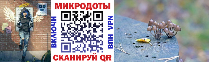 Галлюциногенные грибы MAGIC MUSHROOMS  Куртамыш 