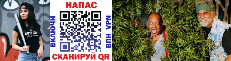 Конопля White Widow  МЕГА сайт  Куртамыш  наркошоп 